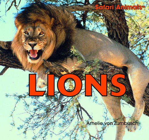 Lions (Safari Animals)