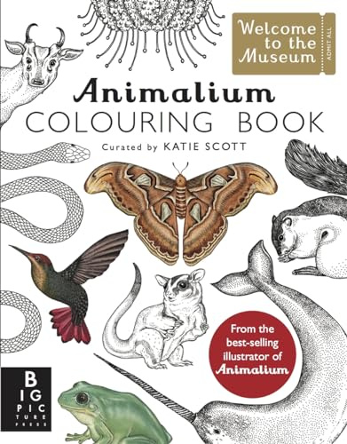 Animalium Colouring Book: by Kate Baker and illustrator Katie Scott (Welcome To The Museum)