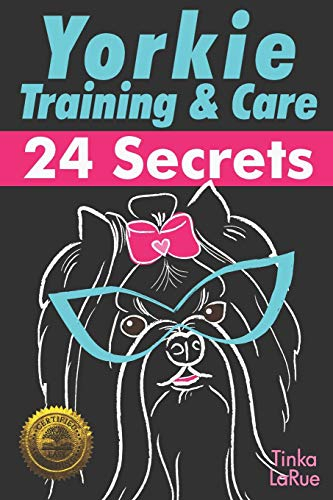 Yorkie Training & Care: 24 Secrets