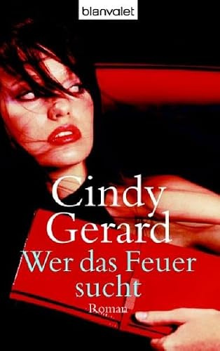 Wer das Feuer sucht: Roman (Blanvalet Taschenbuch)