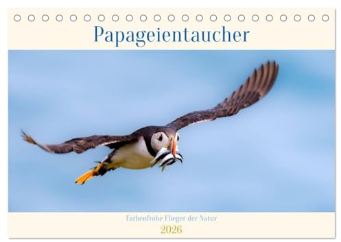 Papageientaucher - Farbenfrohe Flieger der Natur (Tischkalender 2026 DIN A5 quer), CALVENDO Monatskalender (CALVENDO Tiere)