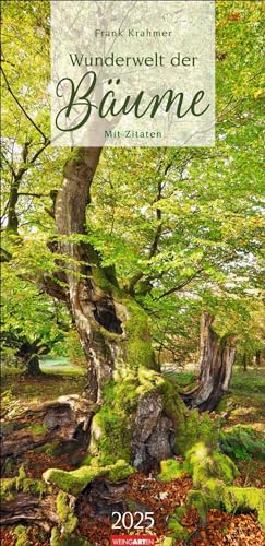 Wunderwelt der Bäume Kalender 2025: Baum-Fotos durch alle Jahreszeiten in einem länglichen Kalender im Format 33x68 cm. Jahres-Wandkalender mit Fotos von der Blüte bis zum kahlen Winter.