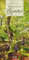 Wunderwelt der Bäume Kalender 2025: Baum-Fotos durch alle Jahreszeiten in einem länglichen Kalender im Format 33x68 cm. Jahres-Wandkalender mit Fotos von der Blüte bis zum kahlen Winter.