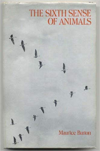 The Sixth Sense of Animals