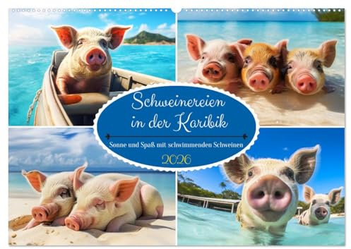 Schweinereien in der Karibik. Sonne und Spaß mit schwimmenden Schweinen (Wandkalender 2026 DIN A2 quer), CALVENDO Monatskalender: Ein Jahr voller ... schwimmenden Borstenvieh! (CALVENDO Tiere)