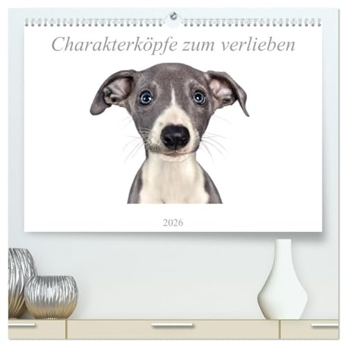 Charakterköpfe zum verlieben (hochwertiger Premium Wandkalender 2026 DIN A2 quer), Kunstdruck in Hochglanz: Hunderassen typgerecht ins beste Licht gerückt. (CALVENDO Tiere)