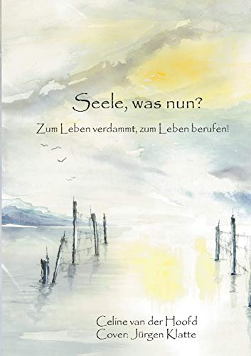 Seele, was nun?: Zum Leben verdammt, zum Leben berufen! (Seelenbücher)