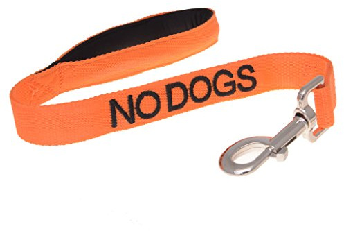 Dexil NO DOGS (Not good with other dogs) Orange Colour Coded 60cm 1.2m 1.8m Luxury Neoprene Padded Handle Dog Leads PREVENTS Accidents By Warning Others Of Your Dog In Advance (60cm)