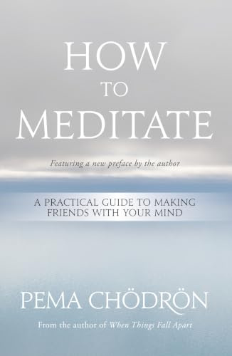 How to Meditate: A Practical Guide to Making Friends with Your Mind