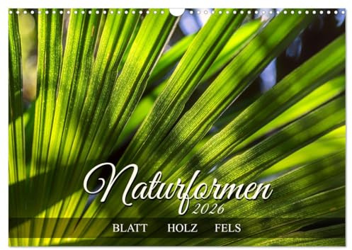 Naturformen, Blatt, Holz, Fels (Wandkalender 2026 DIN A3 quer), CALVENDO Monatskalender: Die Formensprache der Natur (CALVENDO Natur)