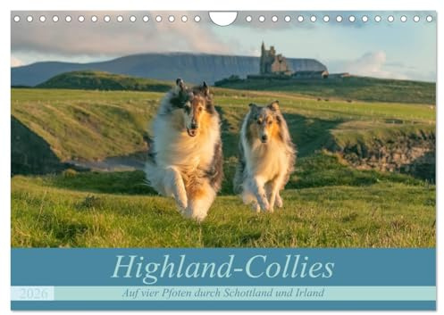 Highland-Collies - Auf vier Pfoten durch Schottland und Irland (Wandkalender 2026 DIN A4 quer), CALVENDO Monatskalender: Collies und Schottland: Eine unsterbliche Liebe! (CALVENDO Tiere)