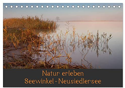 Natur erleben Seewinkel-Neusiedlersee (Tischkalender 2026 DIN A5 quer), CALVENDO Monatskalender: Naturkulisse Seewinkel im Burgenland, Österreich (CALVENDO Natur)