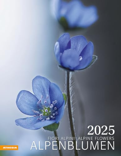 Alpenblumen Kalender 2025: Fiori alpini – Alpine flowers