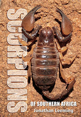 Scorpions of South Africa