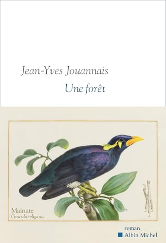 Une forêt: Sélection lectures d'été de l'Académie Goncourt