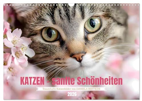 Katzen - sanfte Schönheiten (Wandkalender 2026 DIN A3 quer), CALVENDO Monatskalender: Lassen Sie sich jeden Monat aufs Neue durch die wunderbare Welt der Katzen verzaubern. (CALVENDO Tiere)