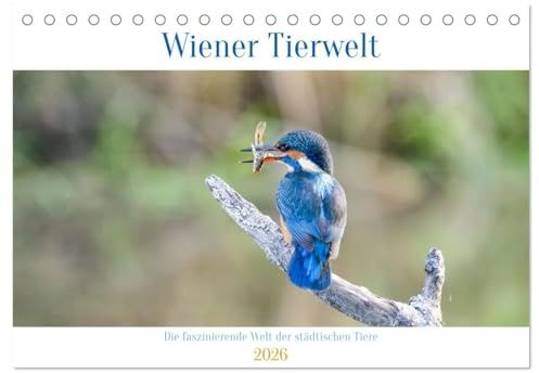 Wiener Tierwelt (Tischkalender 2026 DIN A5 quer), CALVENDO Monatskalender: Die faszinierende Welt der städtischen Tiere Wiens (CALVENDO Tiere)