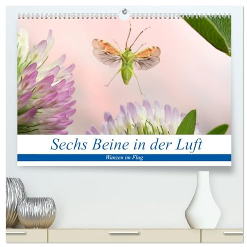 Sechs Beine in der Luft - Wanzen im Flug (hochwertiger Premium Wandkalender 2026 DIN A2 quer), Kunstdruck in Hochglanz: Bilder von fliegenden Wanzen (CALVENDO Tiere)
