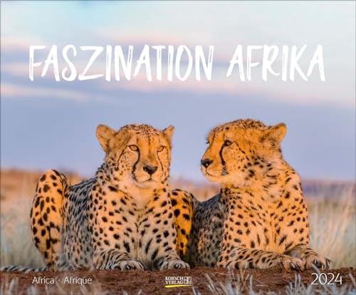 Faszination Afrika 2024: Großer Wandkalender. Foto-Kunstkalender afrikanischer Tiere in der Natur. Querformat 55 x 45,5 cm.