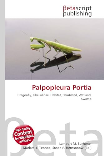 Palpopleura Portia: Dragonfly, Libellulidae, Habitat, Shrubland, Wetland, Swamp