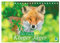 Der Fuchs: Kluger Jäger (Tischkalender 2025 DIN A5 quer), CALVENDO Monatskalender: Ein Jahr im Leben der scheuen Füchse (CALVENDO Tiere)