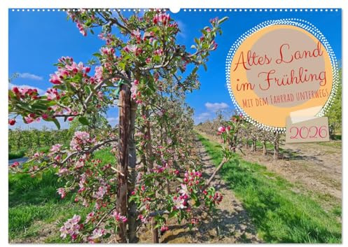 Altes Land im Frühling - Mit dem Fahrrad unterwegs (Wandkalender 2026 DIN A2 quer), CALVENDO Monatskalender: Baumblüte im alten Land (CALVENDO Orte)