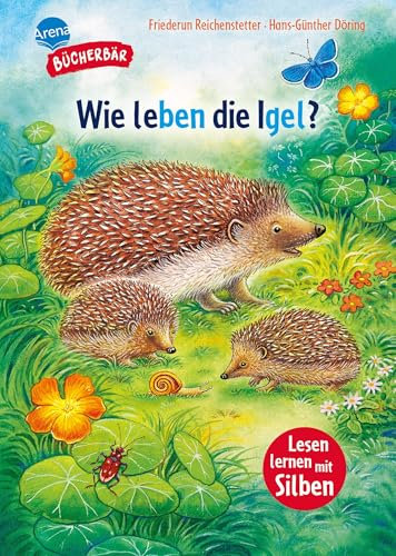Sachwissen für Erstleser. Wie leben die Igel?: Bücherbär: Erstlesebuch; Sachwissen über Igel für die 1. Klasse, mit Silbentrennung zum leichteren Lesenlernen