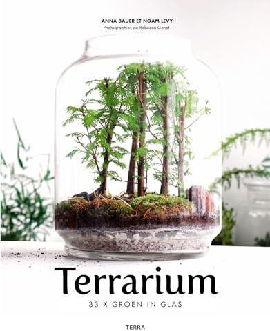Terrarium: 33 x Groen in glas