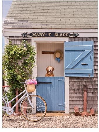 Gray Malin Nantucket 1000 Piece Book Box Puzzle