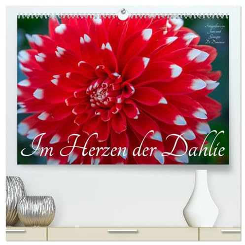 Im Herzen der Dahlie (hochwertiger Premium Wandkalender 2026 DIN A2 quer), Kunstdruck in Hochglanz: Die Dahlie - bezaubernd, verfüherisch und betörend (CALVENDO Natur)