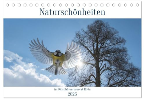Naturschönheiten im Biosphärerenreservat Rhön (Tischkalender 2026 DIN A5 quer), CALVENDO Monatskalender: Die ausgewählten Naturschätze des UNESCO ... das ganze Jahr über.. (CALVENDO Natur)