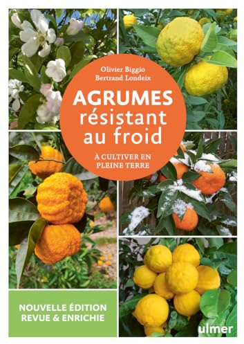 Agrumes résistant au froid: A cultiver en pleine terre