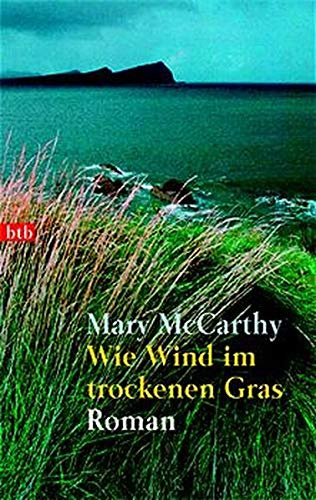 Wie Wind im trockenen Gras: Roman