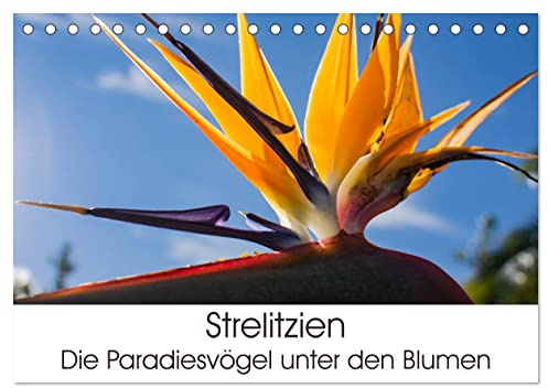 Strelitzien - die Paradiesvögel unter den Blumen (Tischkalender 2026 DIN A5 quer), CALVENDO Monatskalender: Impressionen der farbenfrohen Strelitzien (CALVENDO Natur)