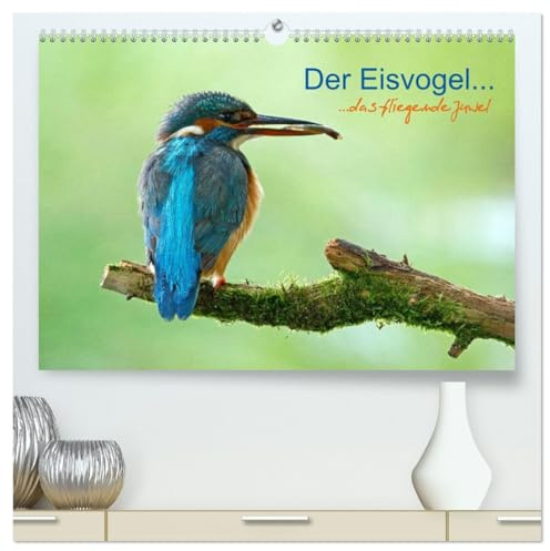 Der Eisvogel...fliegendes Juwel (hochwertiger Premium Wandkalender 2026 DIN A2 quer), Kunstdruck in Hochglanz: Der Eisvogel an seinem Ansitz (CALVENDO Natur)