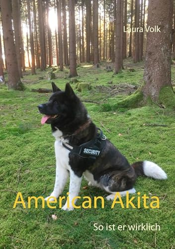 American Akita: So ist er wirklich