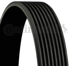 CONTITECH 6550896000 Keilriemen geriffelt,