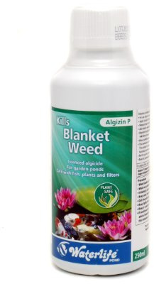 Waterlife Algizin P 250ml