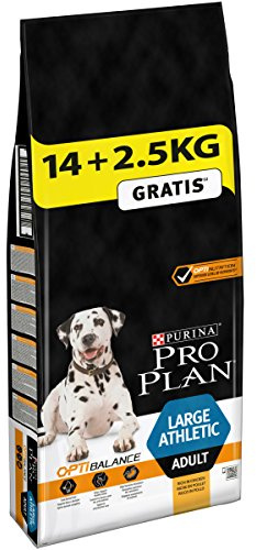 Pro Plan Dog Large Athletic Adult, Reich an Huhn, Trockenfutter Beutel