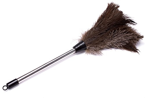 MSV Plumero Avestruz PM, Acero Inoxidable, Cromado, 49x5x5 cm