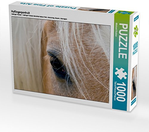CALVENDO Puzzle Haflingerportrait | 1000 Teile Lege-Größe 64 x 48 cm Foto-Puzzle für glückliche Stunden