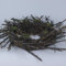 Lucht Nest mit Moos und Federn, Osternest Ostern Osterdeko Vogelnest, Ø 40 cm