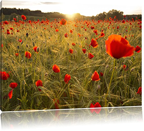 Pixxprint Traumhaftes Mohnfeld bei Sonnenuntergang, Größe: 100x70cm, Leinwandbild, fertig gespannt, Wandbild, Dekoration, Kunstdruck, kein Poster