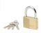 MASTER LOCK 2960EURD Vorhängeschloss 60mm Vollmessing
