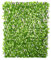 RUNADI Jardin Artificiel - Treillis Extensible en Bois de Saule Feuillage Artificiel Lierre Clair