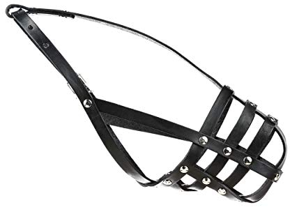 Julius-K9, 17104-L, Maulkorb für Pudel(mittel), Spaniel, Schnauzer (zwerg)