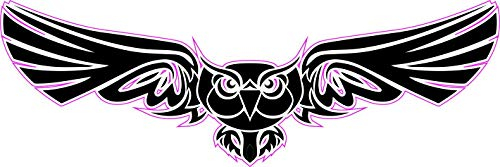 NetSpares 1 x Aufkleber Eule Flug Himmel Sticker Autoaufkleber Tuning Fun Gag