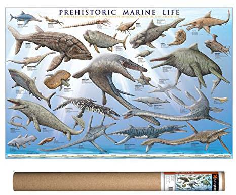 EuroGraphics Poster Prehistoric Marine Life 91,4 x 61 cm