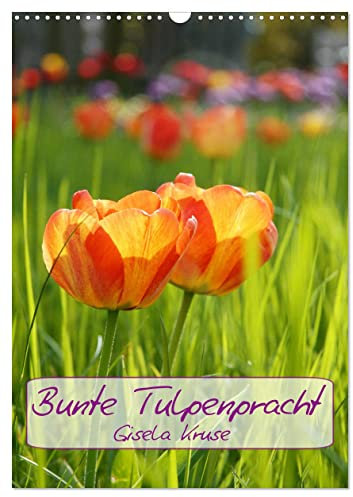 Bunte Tulpenpracht (Wandkalender 2025 DIN A3 hoch), CALVENDO Monatskalender: Tulpen, die das Herz berühren (CALVENDO Natur)