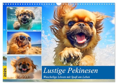 Lustige Pekinesen. Wuschelige Löwen mit Spaß am Leben (Wandkalender 2026 DIN A3 quer), CALVENDO Monatskalender: Diese putzigen Hunde hinterlassen Pfotenabdrücke auf unseren Herzen! (CALVENDO Tiere)